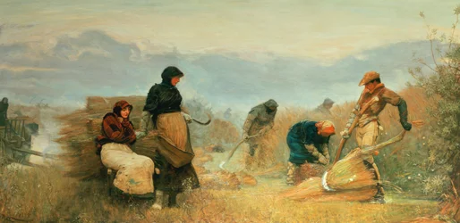 En los Fens, 1878